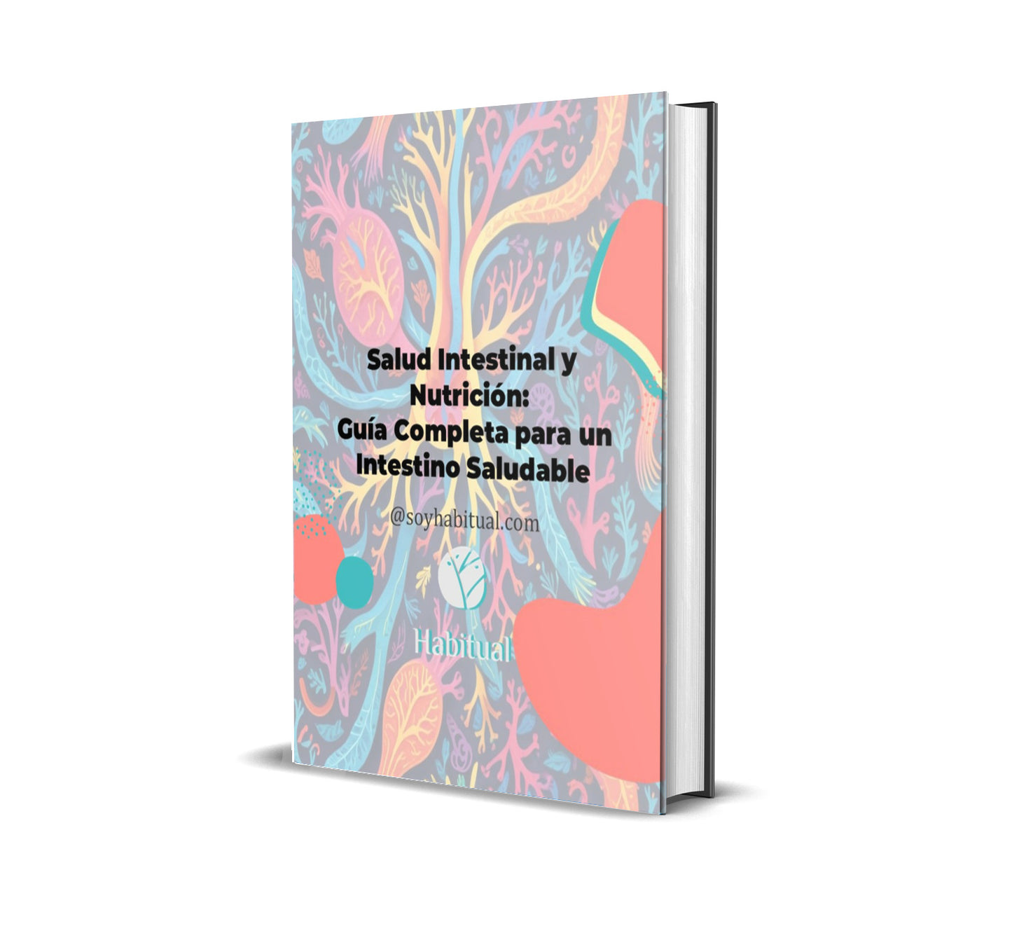Salud Intestinal y Nutrición: Guía Completa para un Intestino Saludable